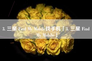 3. 三星 Find My Mobile找手机「3. 三星 Find My Mobile」