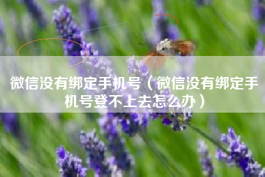 微信没有绑定手机号（微信没有绑定手机号登不上去怎么办）