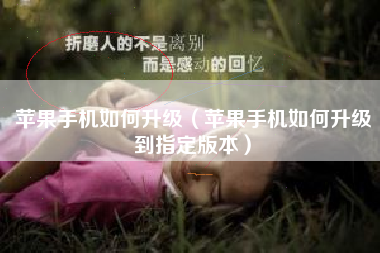 苹果手机如何升级（苹果手机如何升级到指定版本）