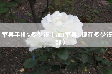 苹果手机5s多少钱（2021苹果5s现在多少钱一部）