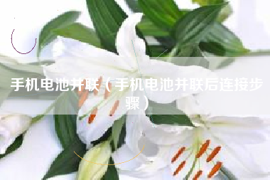 手机电池并联（手机电池并联后连接步骤）