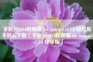 手机QQ2014轻聊版 for Android v2.1.0 安卓版手机qq下载「手机QQ2014轻聊版 for Android v2.1.0 安卓版」