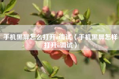 手机黑屏怎么打开u调试（手机黑屏怎样打开u调试）