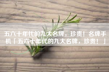 五六十年代的九大名牌，珍贵！名牌手机「五六十年代的九大名牌，珍贵！」