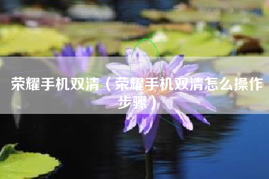 荣耀手机双清（荣耀手机双清怎么操作步骤）