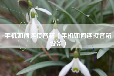 手机如何连接音箱（手机如何连接音箱设备）