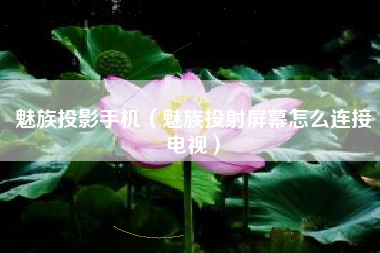 魅族投影手机（魅族投射屏幕怎么连接电视）