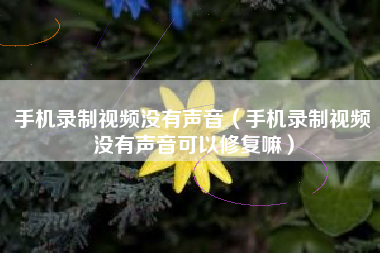 手机录制视频没有声音（手机录制视频没有声音可以修复嘛）