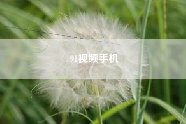 91视频手机