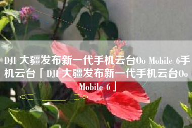 DJI 大疆发布新一代手机云台Oo Mobile 6手机云台「DJI 大疆发布新一代手机云台Oo Mobile 6」