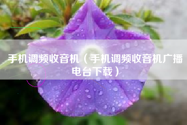 手机调频收音机（手机调频收音机广播电台下载）