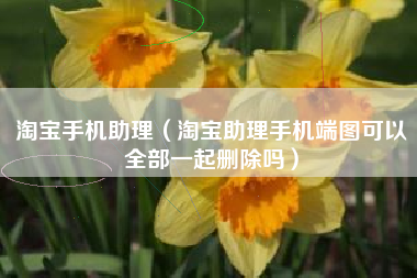 淘宝手机助理（淘宝助理手机端图可以全部一起删除吗）
