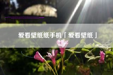 爱看壁纸纸手机「爱看壁纸」