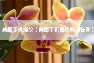 美图手机指纹（美图手机指纹解锁在哪）