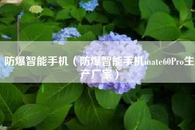 防爆智能手机（防爆智能手机mate60Pro生产厂家）