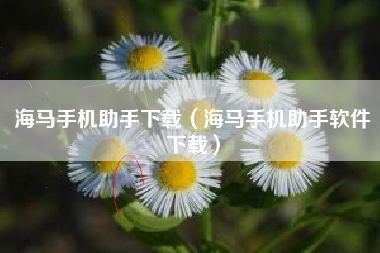 海马手机助手下载（海马手机助手软件下载）
