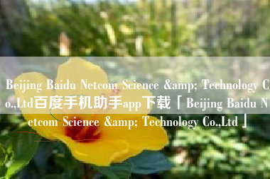Beijing Baidu Netcom Science & Technology Co.,Ltd百度手机助手app下载「Beijing Baidu Netcom Science & Technology Co.,Ltd」