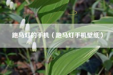 跑马灯的手机（跑马灯手机壁纸）