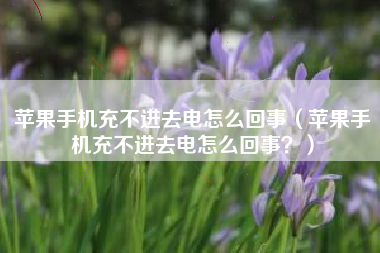 苹果手机充不进去电怎么回事（苹果手机充不进去电怎么回事？）