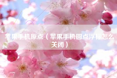 苹果手机原点（苹果手机圆点浮标怎么关闭）