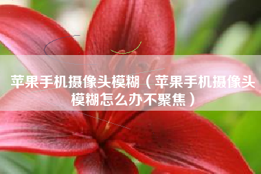 苹果手机摄像头模糊（苹果手机摄像头模糊怎么办不聚焦）