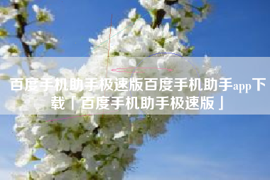 百度手机助手极速版百度手机助手app下载「百度手机助手极速版」