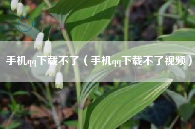 手机qq下载不了（手机qq下载不了视频）