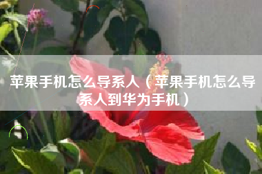 苹果手机怎么导系人（苹果手机怎么导系人到华为手机）