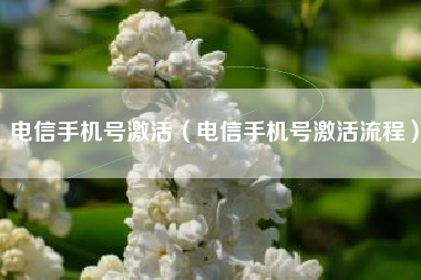 电信手机号激活（电信手机号激活流程）