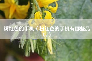 粉红色的手机（粉红色的手机有哪些品牌）