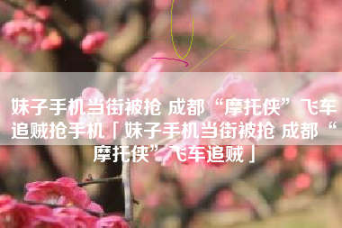 妹子手机当街被抢 成都“摩托侠”飞车追贼抢手机「妹子手机当街被抢 成都“摩托侠”飞车追贼」