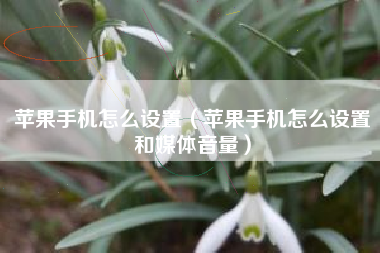 苹果手机怎么设置（苹果手机怎么设置和媒体音量）