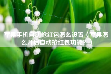 苹果手机自动抢红包怎么设置（苹果怎么开启自动抢红包功能？）