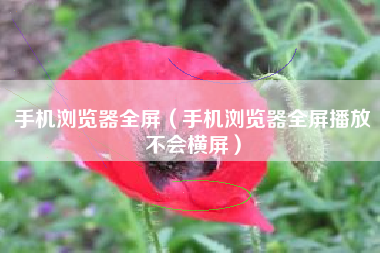 手机浏览器全屏（手机浏览器全屏播放不会横屏）