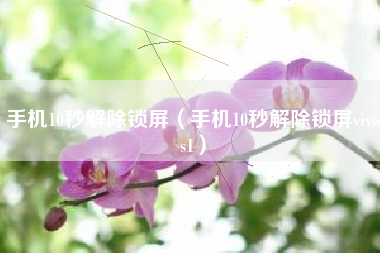 手机10秒解除锁屏（手机10秒解除锁屏vivos1）