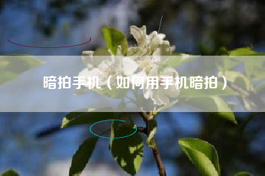 暗拍手机（如何用手机暗拍）