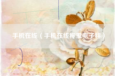 手机在线（手机在线称重电子秤）