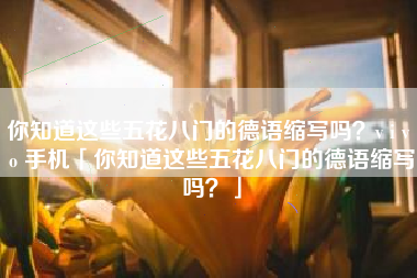 你知道这些五花八门的德语缩写吗？v i v o 手机「你知道这些五花八门的德语缩写吗？」