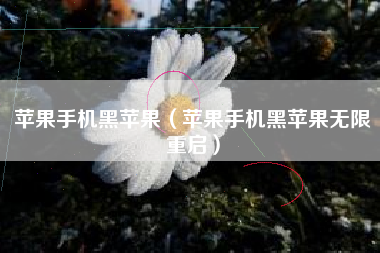 苹果手机黑苹果（苹果手机黑苹果无限重启）