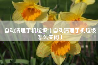 自动清理手机垃圾（自动清理手机垃圾怎么关闭）