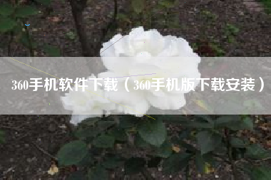 360手机软件下载（360手机版下载安装）