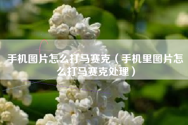 手机图片怎么打马赛克（手机里图片怎么打马赛克处理）