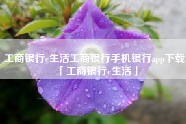 工商银行e生活工商银行手机银行app下载「工商银行e生活」
