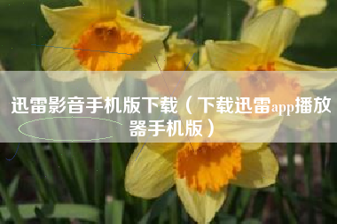 迅雷影音手机版下载（下载迅雷app播放器手机版）