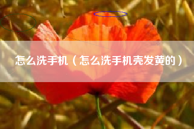 怎么洗手机（怎么洗手机壳发黄的）