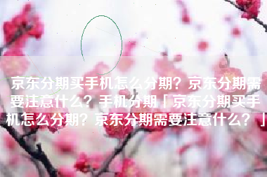 京东分期买手机怎么分期？京东分期需要注意什么？手机分期「京东分期买手机怎么分期？京东分期需要注意什么？」