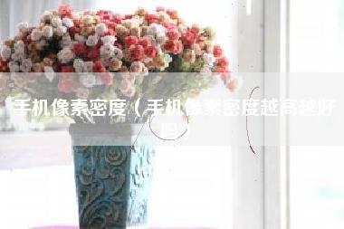 手机像素密度（手机像素密度越高越好吗）