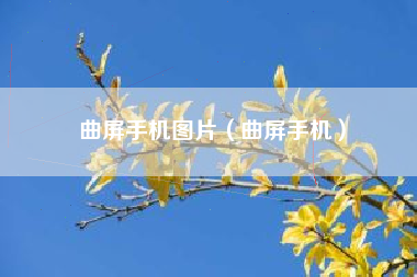 曲屏手机图片（曲屏手机）