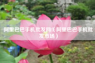 阿里巴巴手机批发网（阿里巴巴手机批发市场）