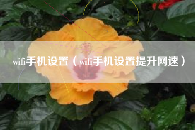 wifi手机设置（wifi手机设置提升网速）